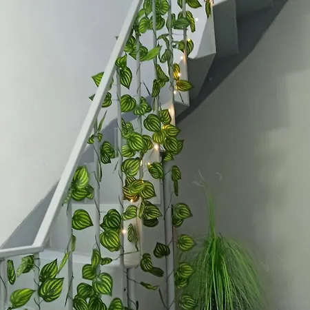 Comfortable Square Apartment Bucharest