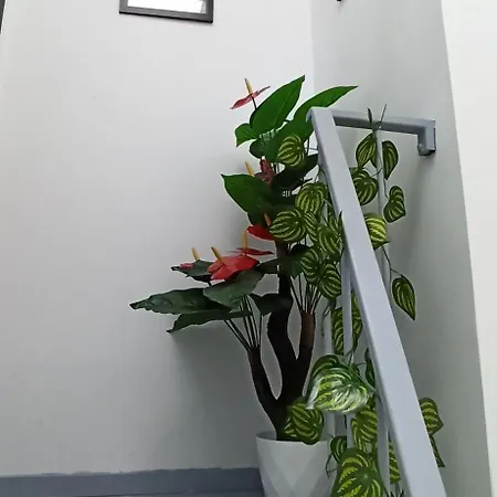 Comfortable Square * Bucharest