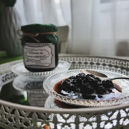 Comfortable Square Bükreş