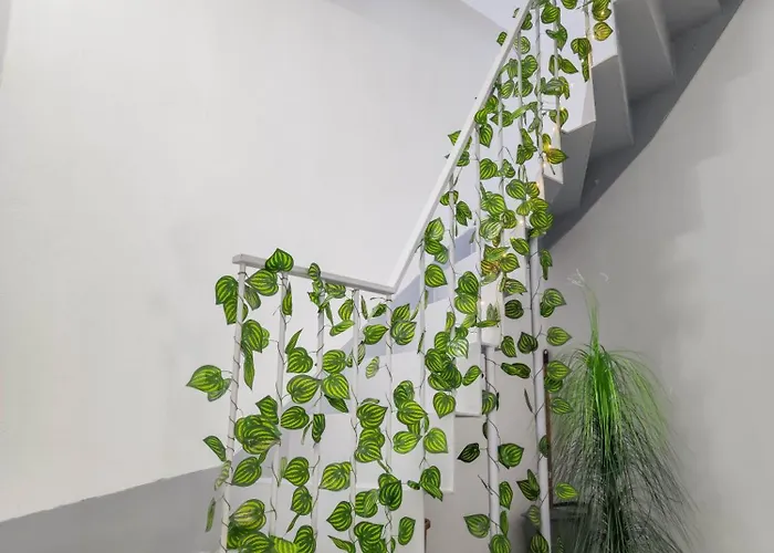 Appartement Comfortable Square