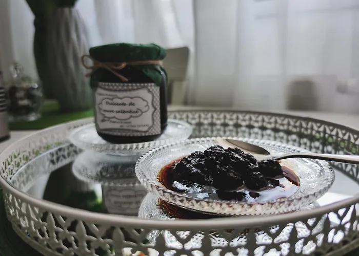 Comfortable Square ブカレスト