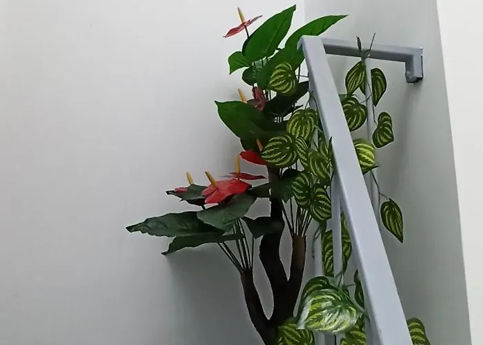 Comfortable Square * Bukarest